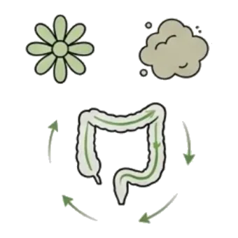 Una flor y una nube de humo alrededor de un colon