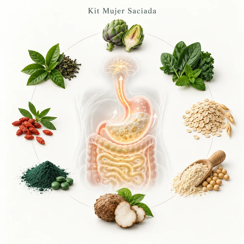 Lámina del Kit Mujer Saciada: el sistema digestivo rodeado de alcachofa, avena, soya, té verde, espinaca, goji, espirulina y konjac